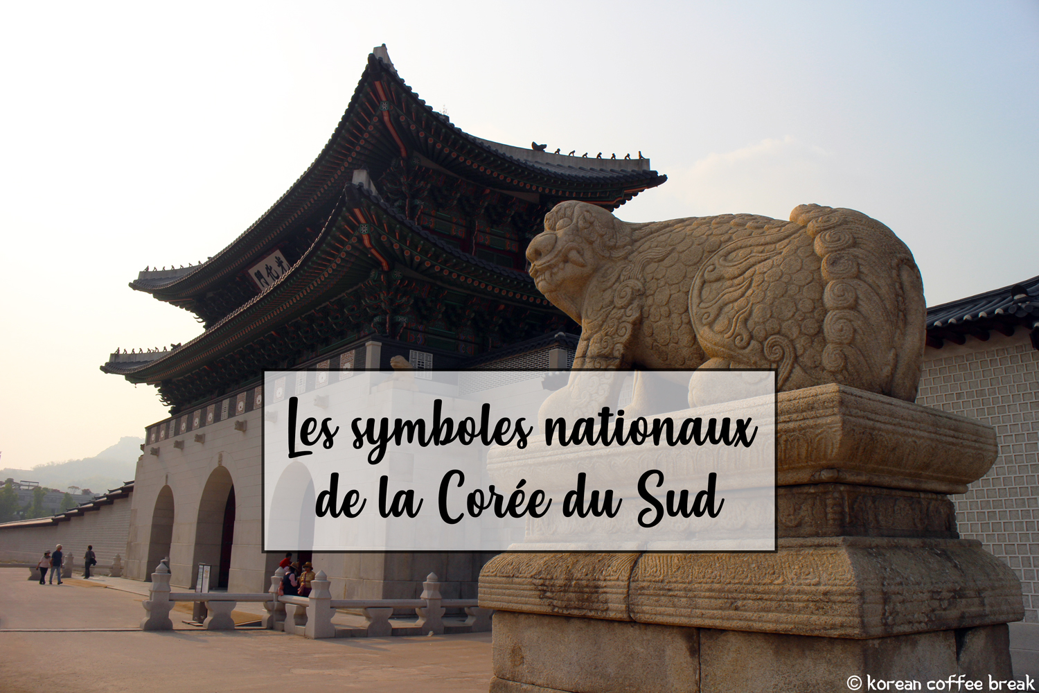 Les symboles nationaux de la Corée du Sud Korean Coffee Break